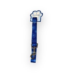 Blue Accessory Leash
